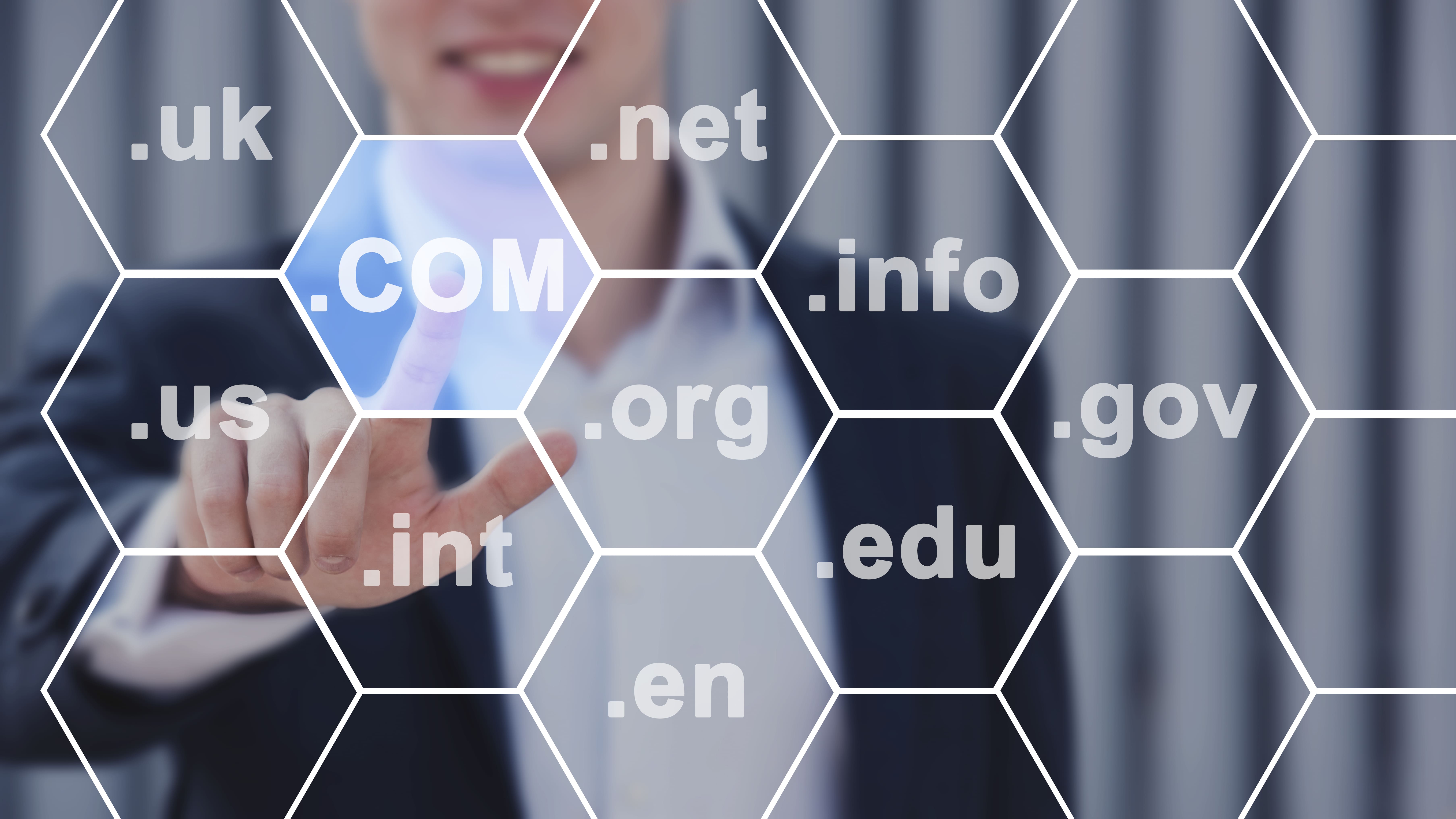 Domain Names Visualization
